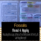Types of Fossils Reading Comprehension Interactive Notebook