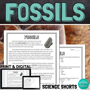 Preview of Fossils Reading Comprehension Passage PRINT and DIGITAL