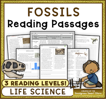 Preview of Fossils: Reading Comprehension Passages and Questions 