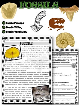 Preview of Fossils Reading Comprehension Passages and Questions
