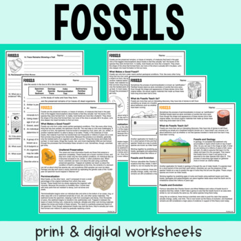 Preview of Fossils - Reading Comprehension Worksheets