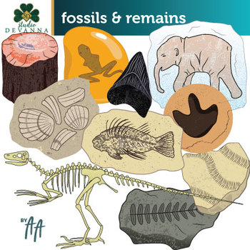 Preview of Fossils Clip Art, Remains Clip Art