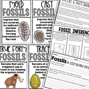 Fossils Resource Guide: Foldables & Activities for Interactive Notebooks