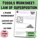 Fossils Worksheet: Law of Superposition