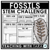 Fossils STEM Challenge | Earth and Space Science STEM Activities