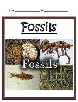 Fossils STUDY GUIDE - 3rd Grade science by Cammie's Corner | TPT