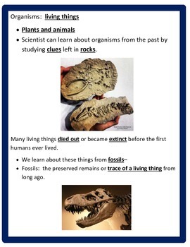 Fossils STUDY GUIDE - 3rd Grade science by Cammie's Corner | TpT