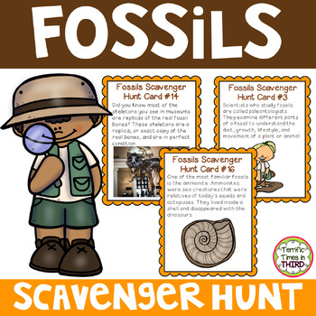 Preview of Fossils Scavenger Hunt