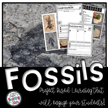 Fossils Science Resources by Lisa Taylor Teaching the Stars | TpT