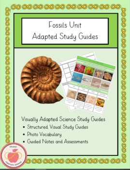 Preview of Fossils Science Unit Study Guides-  Adapted for Autism Small Group