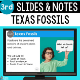 Texas Fossils Slides & Notes Worksheet | 3rd Grade Fossil 