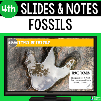 Preview of Fossils Slides & Notes Worksheet | 5th Grade | Fossil Types Past Environments