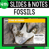 Fossils Slides & Notes Worksheet | 5th Grade | Fossil Type
