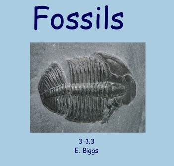 Preview of Fossils - Smartboard Lesson