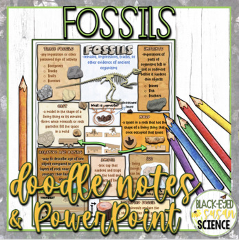 Fossils Squiggle Sheets & Understanding Checkpoint + PowerPoint | TpT