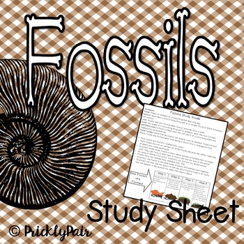 Preview of Fossils Study Guide