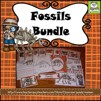Preview of Fossils (Task Cards Included)