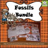 Fossils (Task Cards Included)