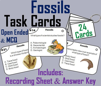 Fossils Task Cards, PowerPoint and Activities Bundle by Science Spot