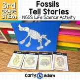 Fossils Tell Stories 3rd Grade Science Lesson NGSS Aligned