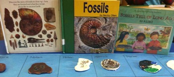 Preview of Fossils Tell Us About Long Ago!