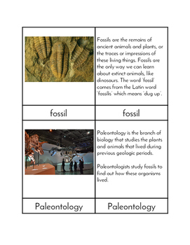 Preview of Fossils - Three/Four Part Cards