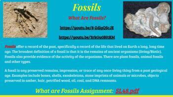 Preview of Fossils - Types, Formation, Law of Superposition, Geologic Time Scale 