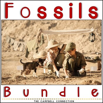 Preview of Fossils Worksheets Bundle