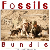 Fossils Worksheets Bundle
