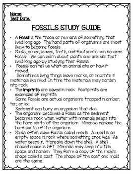 Fossils for kids - BUNDLE by Teaching Dunn Simply | TpT