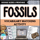 Fossils Vocabulary Matching Activity - Print & Digital