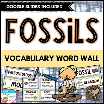 Preview of Fossils Vocabulary Word Wall - Print & Digital