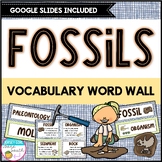 Fossils Vocabulary Word Wall - Print & Digital