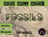Fossils Vocabulary Word Wall Words & Vocabulary Activities