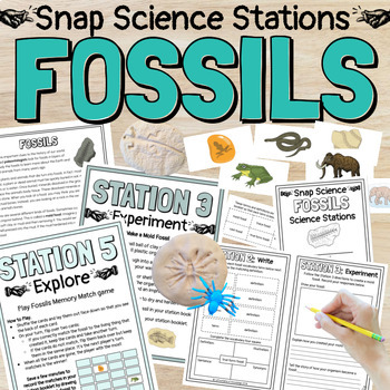 Fossils Science Stations by LaFountaine of Knowledge | TpT