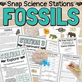 Fossils Science Stations Exploring Types of Fossils Center