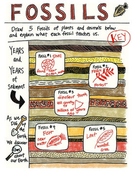 Preview of Science Doodle - Fossils - What Lived Before - Interactive Notebook Foldable -