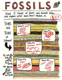 Science Doodle - Fossils - What Lived Before - Interactive