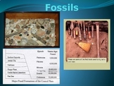 Fossils: What Where How?