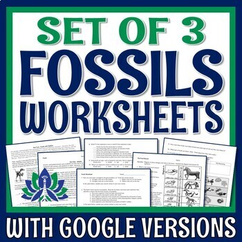 Preview of Fossils Worksheet Set Diagrams CER Reading Passages PRINT and GOOGLE Versions