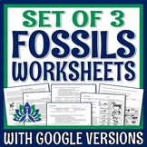 Fossils Worksheet Set Diagrams CER Reading Passages PRINT 
