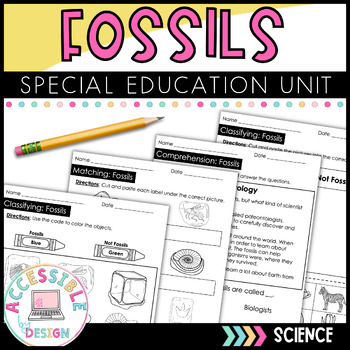 Preview of Fossils Worksheets #SummerWTS