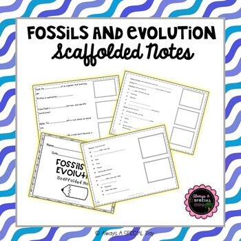 Fossils and Evolution Bundle by Always a SPECIAL Day | TpT