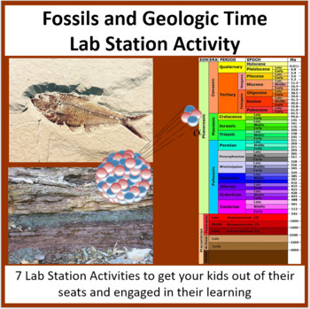 Preview of Fossils and Geologic Time - Lab Station Activity
