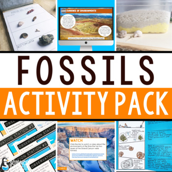 Fossils and Past Environments Activities Pack | Slides, Lab, Notebook ...