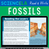 Fossils and Past Environments Reading Comprehension Passag