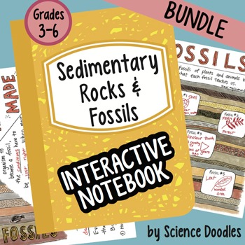 Preview of Science Doodle - Fossils and Sedimentary Rocks INB BUNDLE Notes