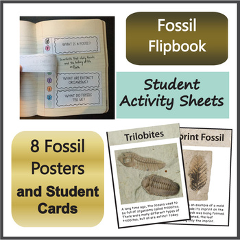 3rd Grade Science NGSS Fossils and Types of Fossils Activities NGSS 3-LS4-1