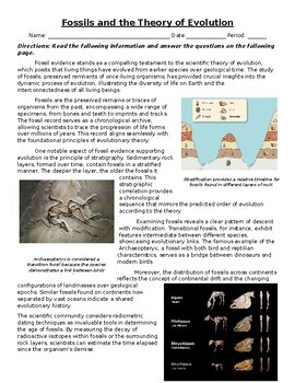 Preview of Fossils and the Theory of Evolution: Text, Images, and Assessment