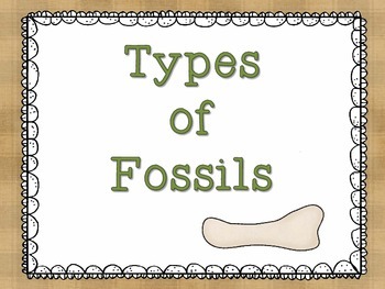 Fossils are Fantastic by The Blessed Teacher | Teachers Pay Teachers
